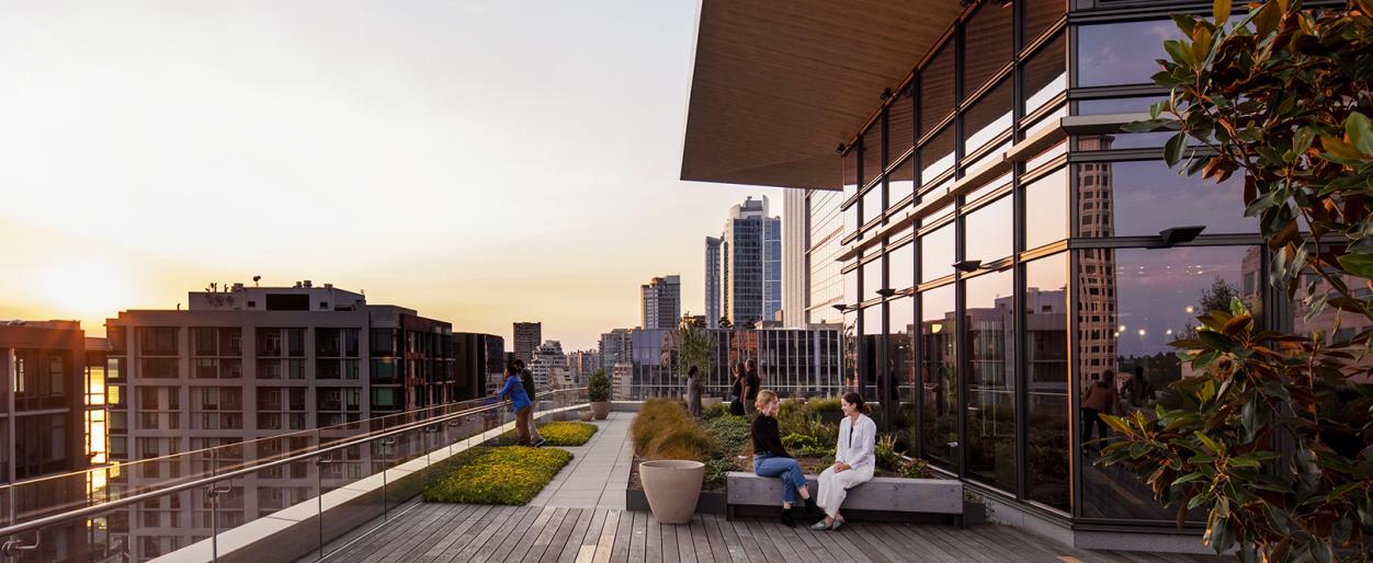 Enjoying the green roof at 2+U in Seattle Washington.