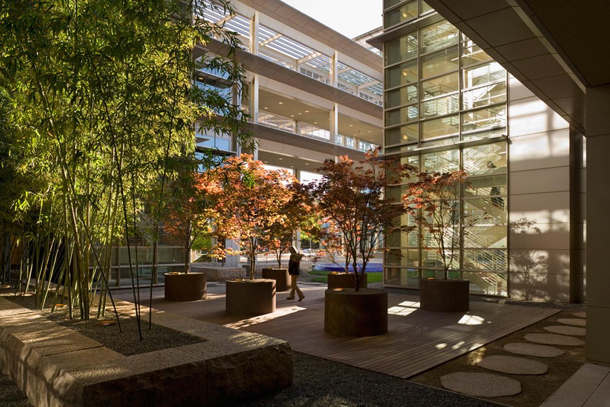 planted trees and walkways outside CalPERS Headquarters Complex