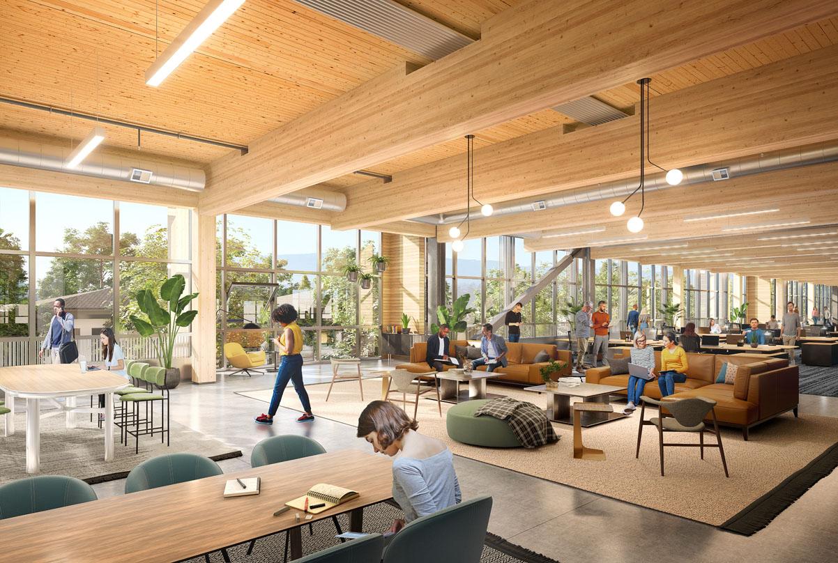 Mass timber interiors with open office space