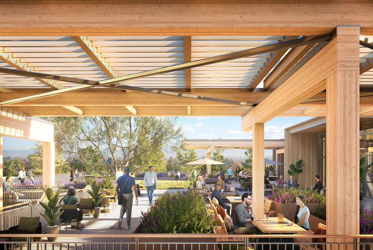 View of the Joinery's rooftop terrace featuring mass timber