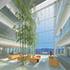 Visualization of the interiors in the design proposal for BankMed Headquarters II in Beirut, Lebanon.