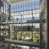 multi-level walways crossing inside the ExxonMobil Office Complex with glass facade looking out at the green campus