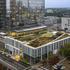 Green roof design for 600 Canal Place in Richmond, Virginia