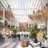 The interior designs with adequate greenery and sunroof incorporated into the next generation workplace in Amsterdam.