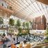 Interior design of the next generation workplace in Amsterdam with a conference hall surrounded by adequate greenery.