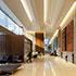 Lobby interior of 2+U in Seattle – soaring ceiling planes, wood and stone finishes, contemporary furnishings, and large-scale integrated artwork.