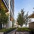 Rooftop garden at 2+U in Seattle – landscaped terraces with trees, wood pathways, and city views, connecting architecture with nature.