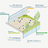 Pickard Chilton master planning Global Gateway Shinagawa